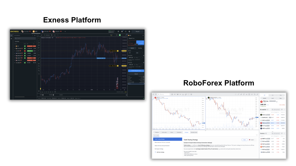Plataformas de Exness y RoboForex comparadas en pruebas 